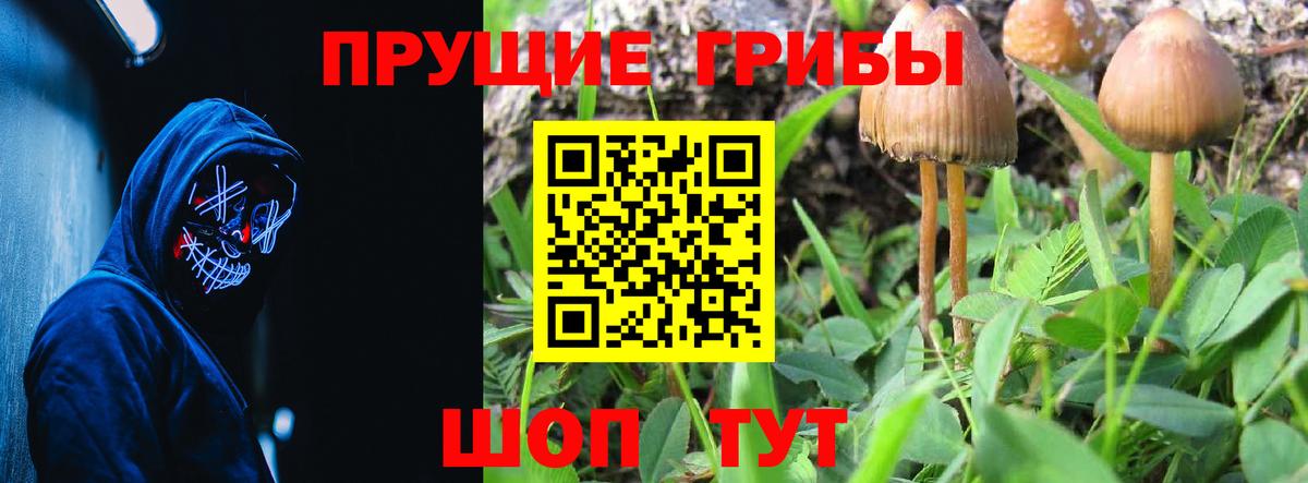 Псилоцибиновые грибы прущие грибы Холмск