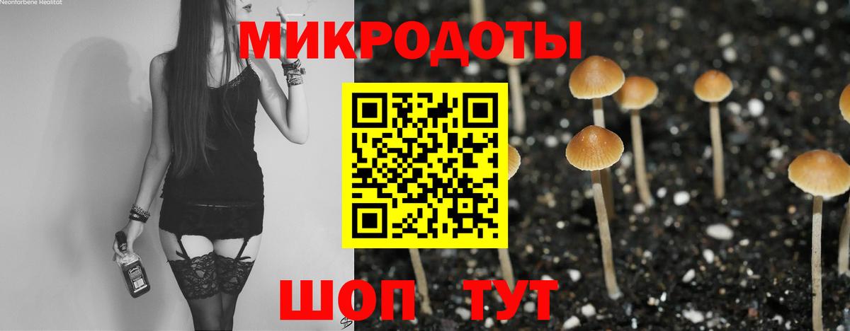 Псилоцибиновые грибы мухоморы  Вход с VPN  Галлюциногенные грибы Cubensis  где купить наркоту  Холмск 